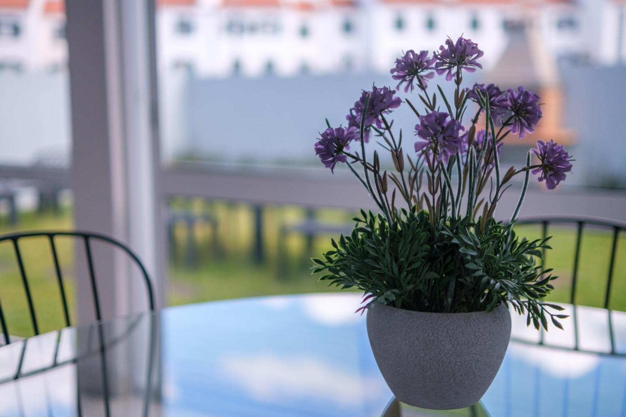 Areal De Santa Barbara Guest House Ribeira Grande Ngoại thất bức ảnh